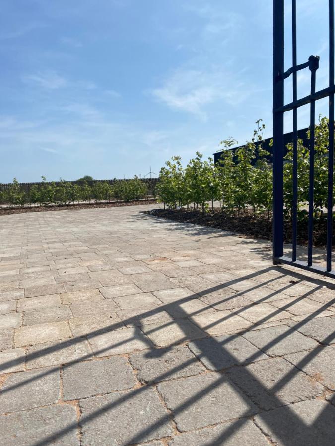 Ballymullock Barn Lofts Carncastle Ngoại thất bức ảnh